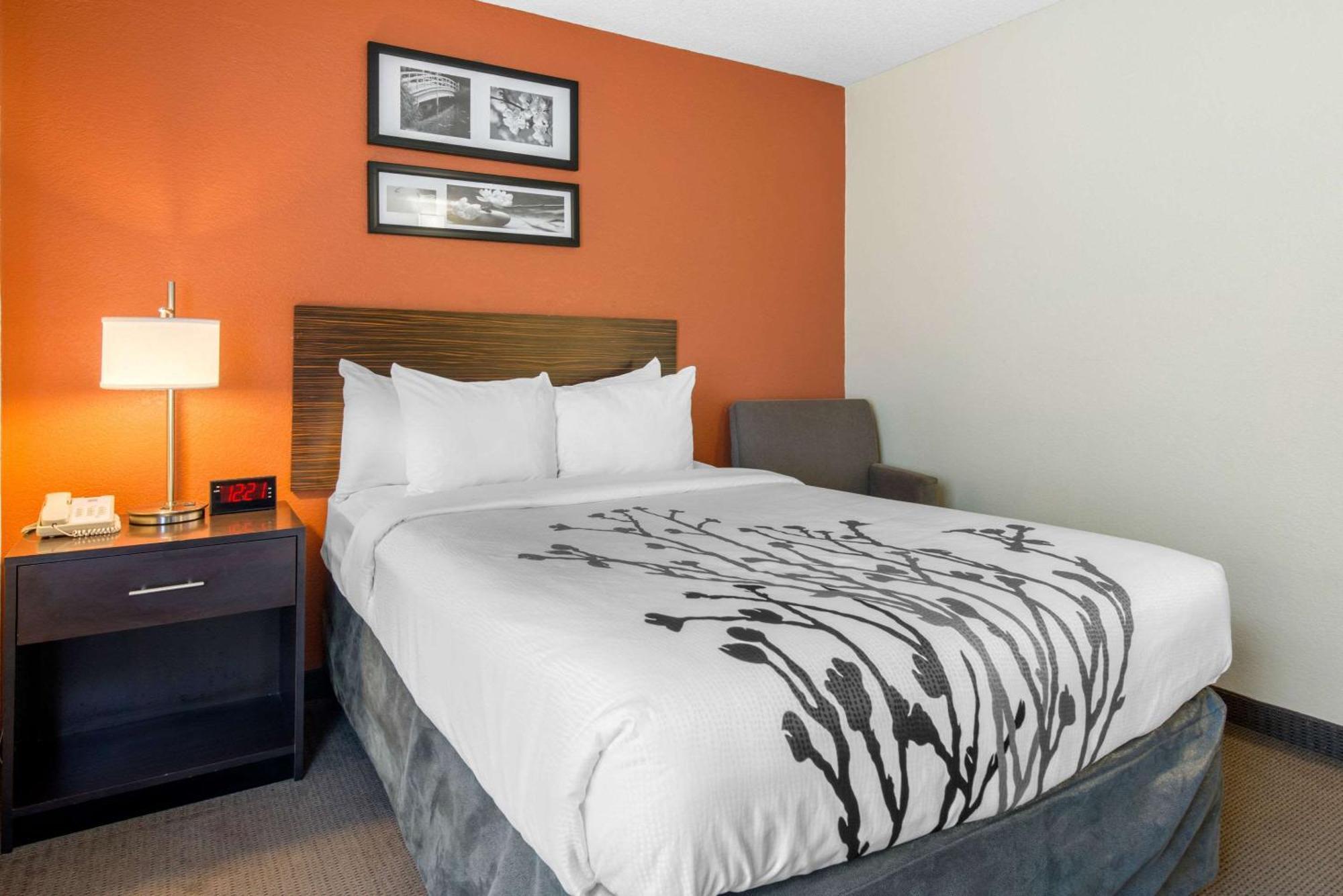 Sleep Inn Sarasota North Экстерьер фото