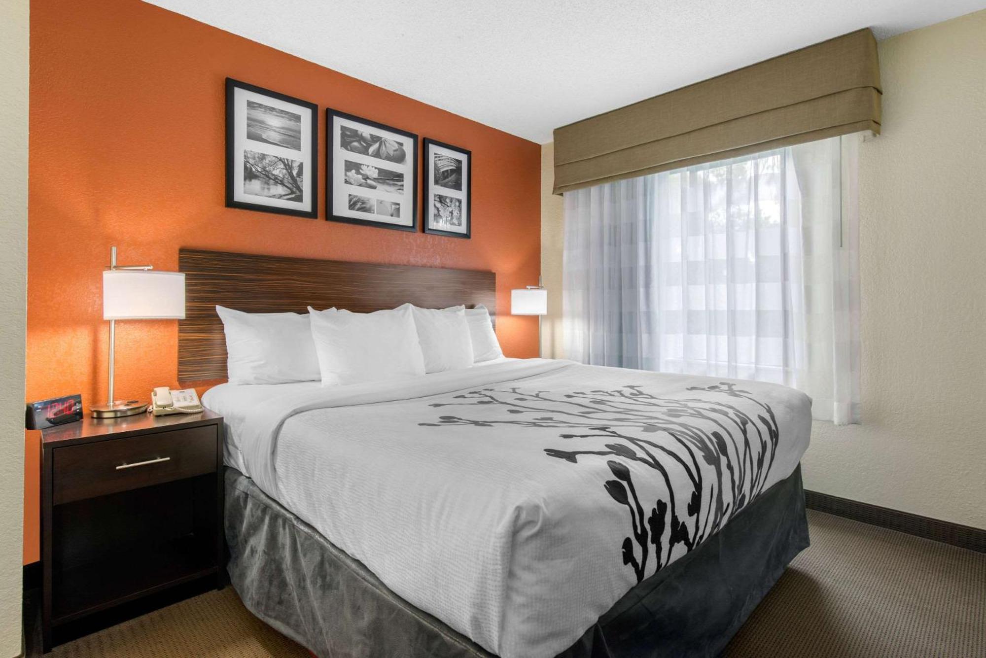Sleep Inn Sarasota North Экстерьер фото
